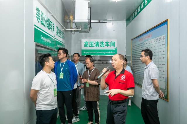 采购商们察看玉米分拣车间。