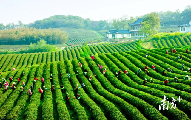 图源南京市场监管。