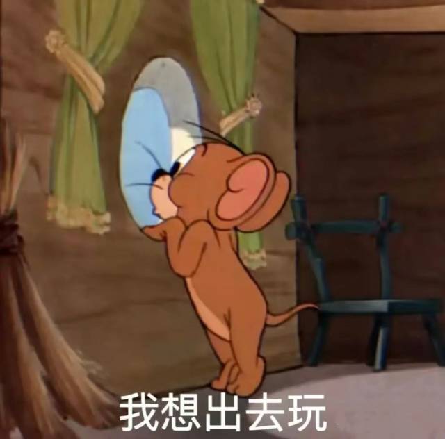 “五一”养生不重样！“广东三宝”食养指南正式发布