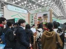 乘“百万英才汇南粤”东风，茂名铺展人才“引育用留”全景图