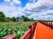 阳东东平：以人居环境整治重塑乡村价值 | “百千万”三年冲刺●瞰阳东①