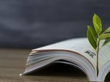 广州番禺发布2025年番禺区义务教育学校招生工作方案，公办小学5月7日起报名