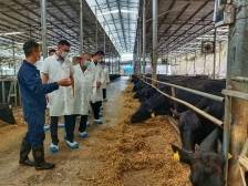 广东梅州：税惠赋能“高铁经济”  助苏区融湾跑出加速度|第一站：梅州西站