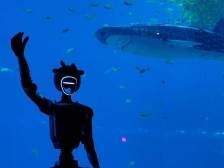 这个五一小长假，记得来“小梅沙”放松、减压！