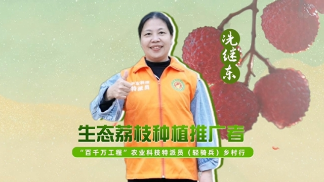 生态荔枝种植推广者冼继东|农技先锋行