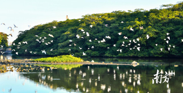 小鸟天堂国家湿地公园。