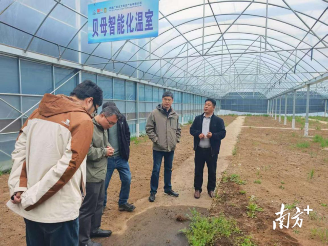 调研组一行在贝母智能化问室参观。