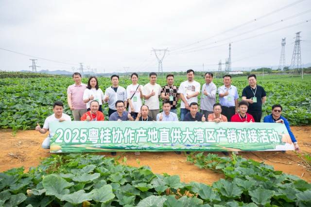 2025粤桂协作产地直供大湾区产销对接活动走进南宁市隆安县及马山县。