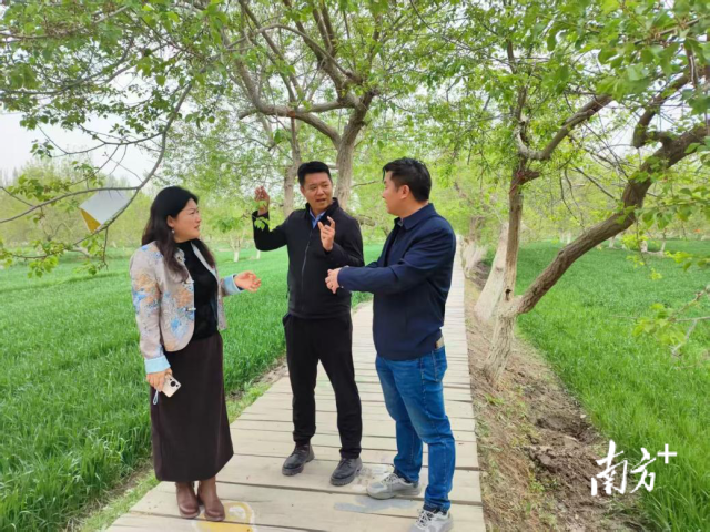 调研组在达铁日木乡2村木亚格杏种植基地调研。