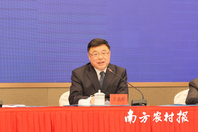 广东省国资委副主任王晓昀