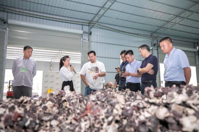 农立营向大湾区采购商介绍食用菌情况。