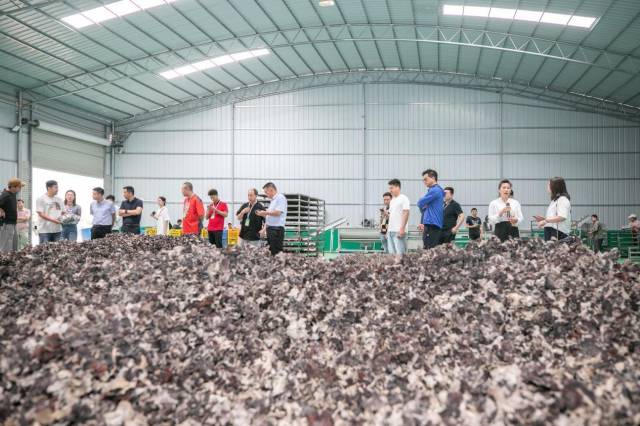 采购商们就食用菌保鲜技术、冷链运输等话题展等开探讨交流。