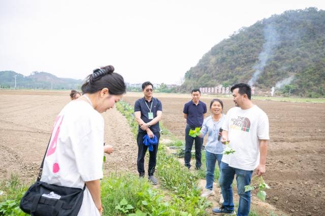采购商交流蔬菜种植情况。