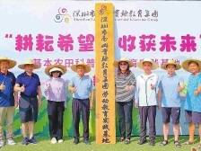 南山实验教育集团：党建领航打造高质量，紧密型教育集团新范式