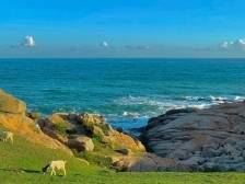 五一“海上游”首选汕尾！收下这份最全攻略