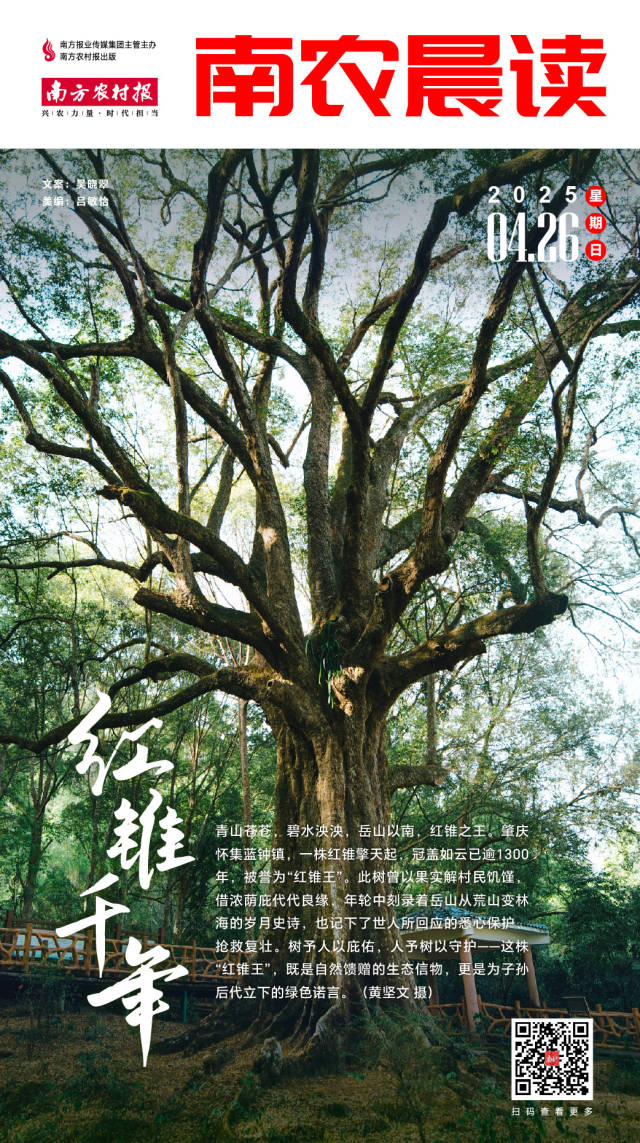 南方农村报 樊静东 制图