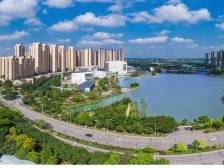 秦淮河遇北江潮，三水“虚位以待”