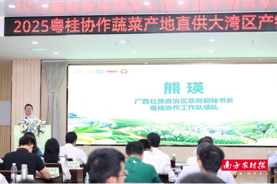 自治区政府副秘书长、粤桂协作工作队领队熊瑛致辞。