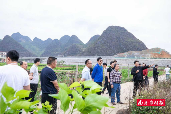 忻城县力丰粮食种植专业合作社。