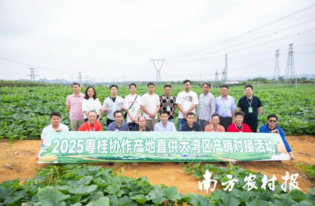 采购商走进广西蔬菜生产基地考察调研。