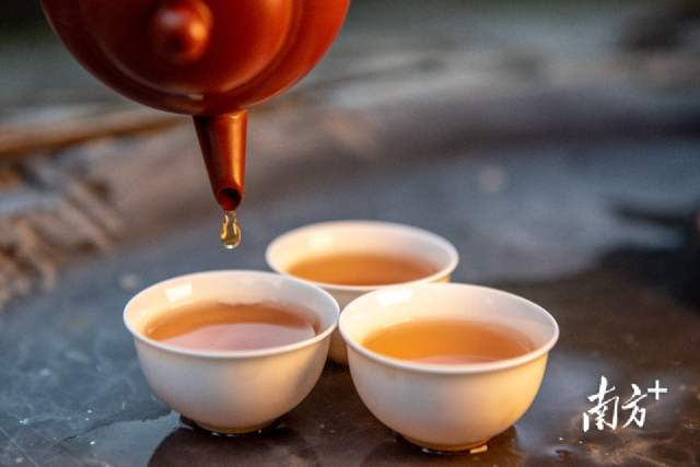 潮州市委宣传部供图。