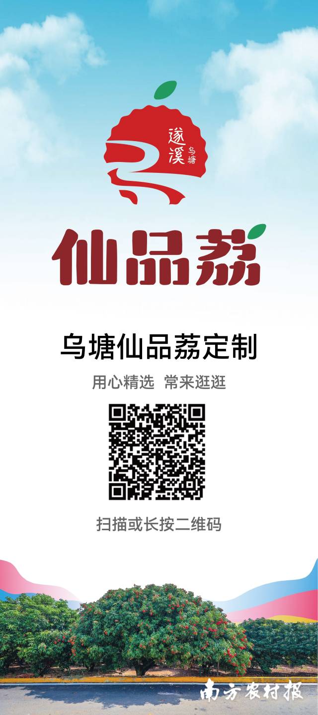 掃碼定制遂溪烏塘仙品荔