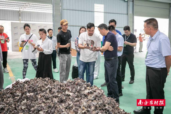 隆安龙华食用菌循环经济示范基地。