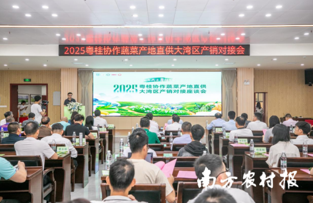 2025粤桂协作蔬菜产地直供大湾区产销对接会现场。