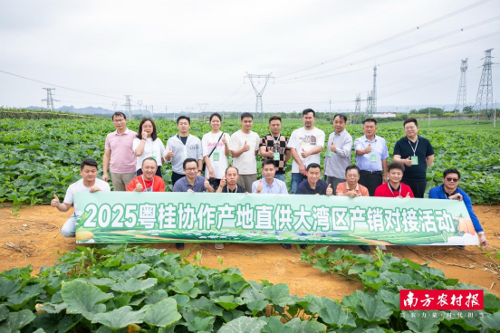 4月23日至25日，2025粤桂协作产地直供大湾区产销对接活动在广西举行。