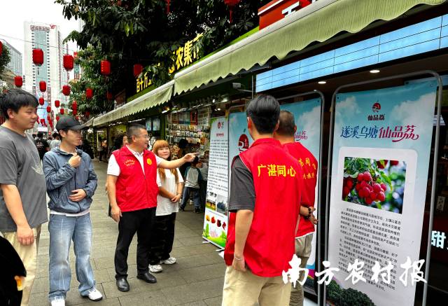 在北京路“百千萬工程”惠農(nóng)集市推廣遂溪烏塘仙品荔
