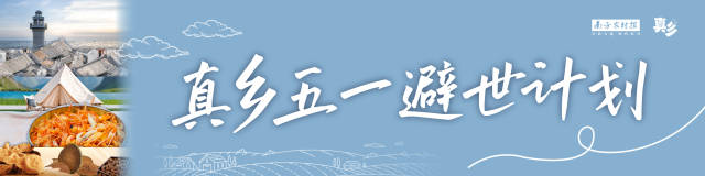 山海寻味，解码“非典型”的典型单丛