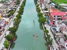 特写｜一场水上非遗赛事背后的“中山治水经”