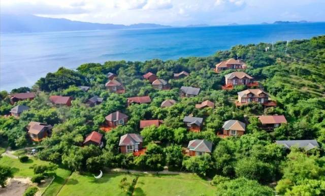 山海大鹏，森林入城。深圳特区报记者 程海昆 通讯员 卓越 王梓华 南宣 摄