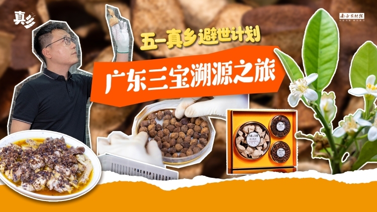 跟著真鄉(xiāng)溯源廣東三寶，領(lǐng)悟嶺南山水獨(dú)一份靈氣  | 真鄉(xiāng)五一避世計(jì)劃