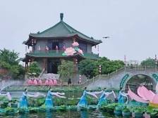 “五一”假期如何玩转诗意岭南？宝墨园早荷实景秀安排！