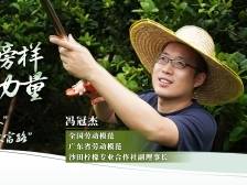 冯冠杰：返乡“新农人”种出柠檬“致富路”｜劳模榜样 白云力量