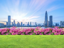 圳经观︱GDP增长5.2%，解码深圳经济三重向“新”力