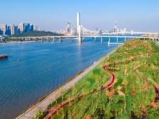 四条路线全攻略！这个“五一”带你玩转琴澳