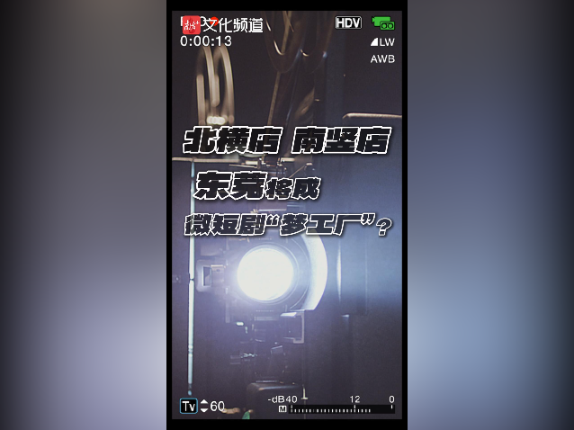 北横店南竖店，“霸总”为何云集东莞？| 有点艺思