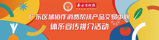 湾区路演签大单，广东区域协作消费帮扶产品交易中心首场产销对接活动成功举办