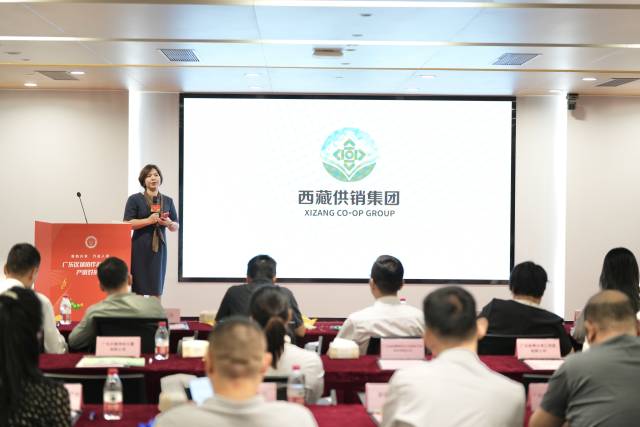 西藏馆运营企业、西藏自治区供销集团负责人贾清滢上台推介。