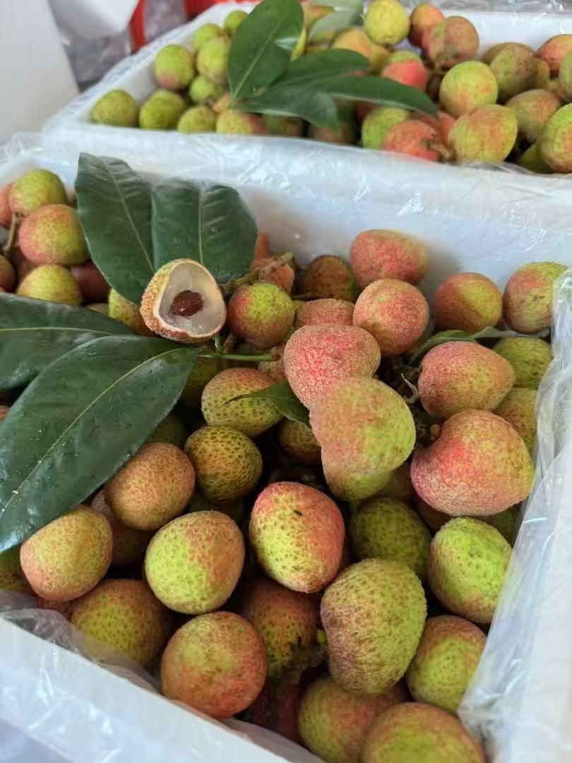 茂名市高州市的“三月红”荔枝已上市。