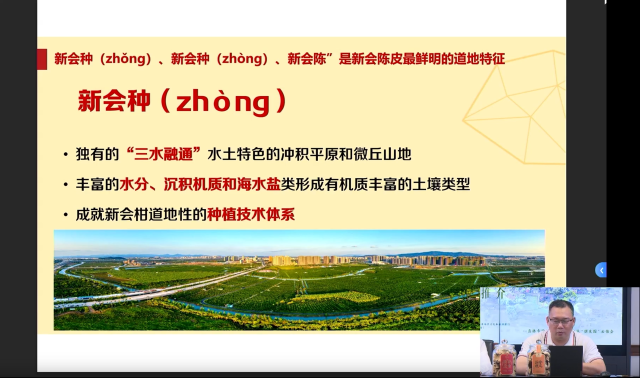 汤国锴做道地新会陈皮推介