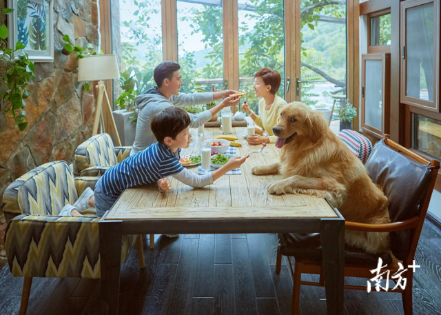 带宠出行成热门。图源途家民宿