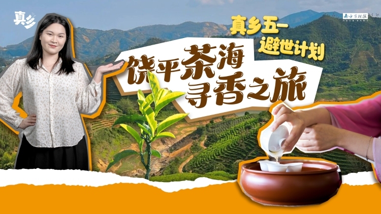 五一漫步嶺頭單叢的故鄉(xiāng)，來(lái)一場(chǎng)尋香之旅吧 | 真鄉(xiāng)五一避世計(jì)劃