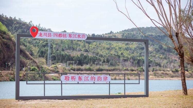 打造星空营地、落户智慧工厂，龙川四都“驻”入产业新动力