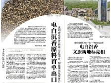 电白沉香原料首单出口沙特｜速览《南方日报·电白视窗》216期