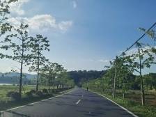 网络赋能 文化兴镇，河源四都点亮“百千万工程”新路径