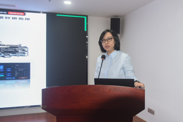 广东省农业科学院茶科所加工研究室主任马成英。