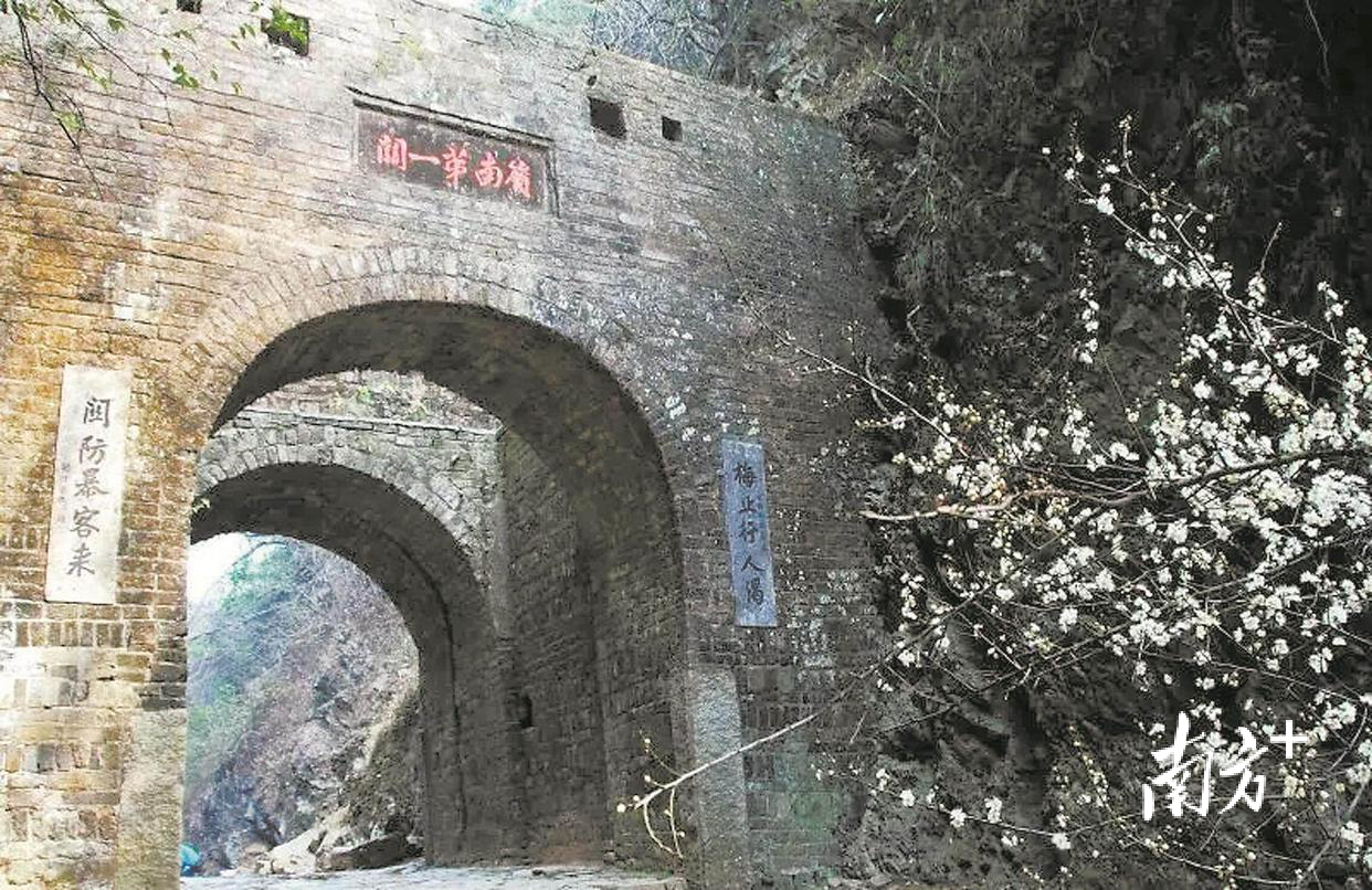 受访者供图